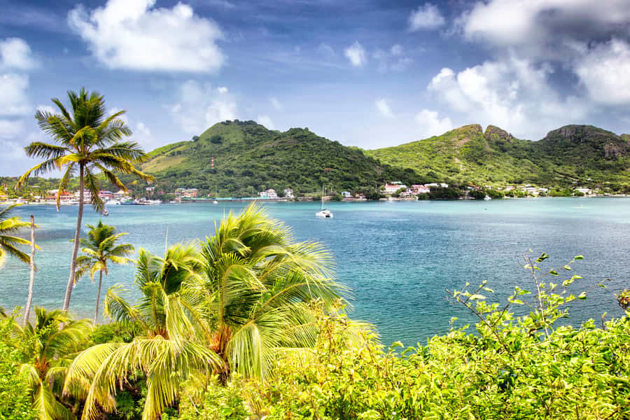 San Andrés: Guided Cays and Mangroves Tour - Old Point mangroves, quiet channels, and wildlife spotting without the rush