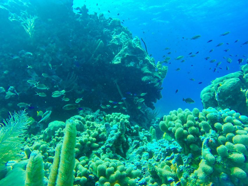 San Andrés: Guided Cays and Mangroves Tour - Charquitos Beach and Mirador de la Loma for calm breaks and island views