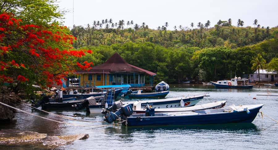 San Andrés: Guided Cays and Mangroves Tour - What to bring, what you cannot bring, and how to stay comfortable