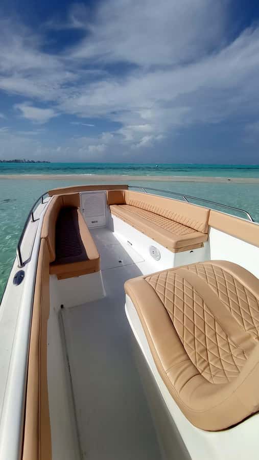 San Andres: Private San Andres Bay Tour by Luxury Speedboat - El Palito shallow sand with sea stars, cucumbers, and sea urchins