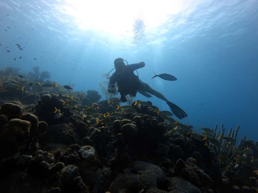 San Andres: Scuba Diving Experience with Hotel Pickup - Key takeaways before you go