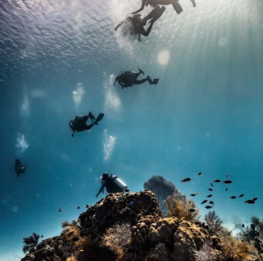 San Andres: Scuba Diving Experience with Hotel Pickup - Entering Big Mamá without stress: 3 hours, pickup-first