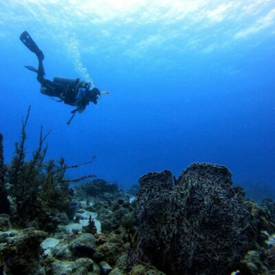 Scuba Diving Experience with Hotel Pickup