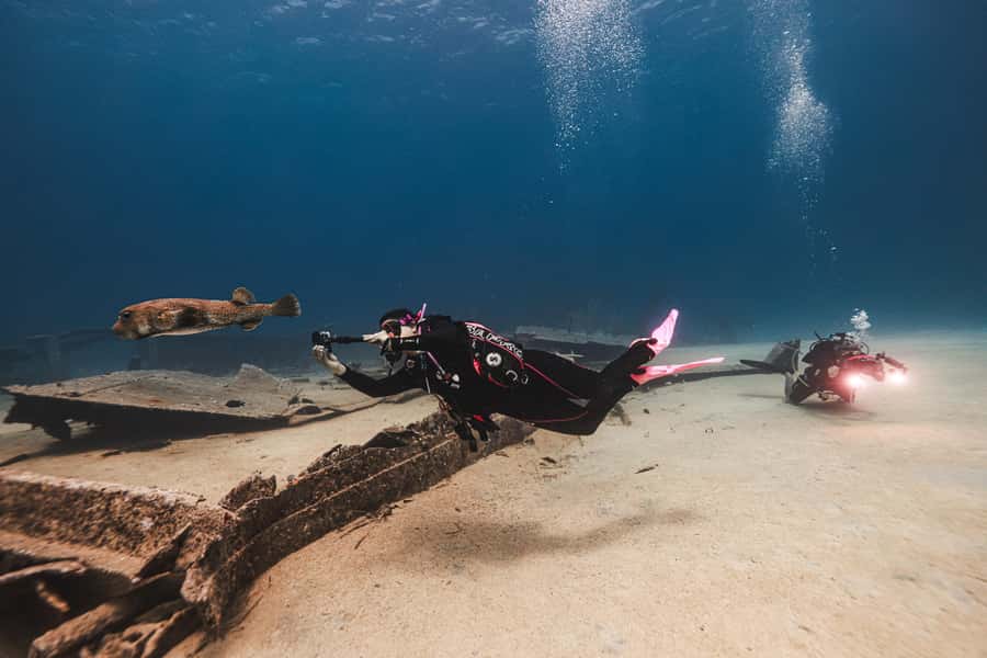San Andres: Scuba Diving Experience with Hotel Pickup - What you will see: Caribbean fish, corals, and the underwater museum statues