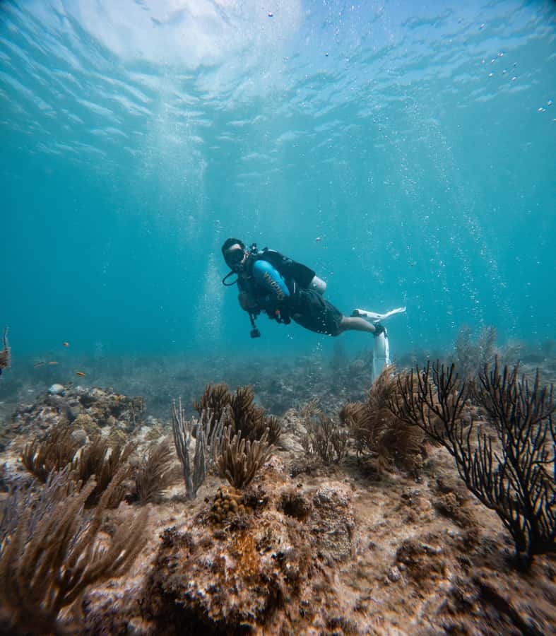 San Andres: Scuba Diving Experience with Hotel Pickup - After your session: the 12-hour flight rule and basic care