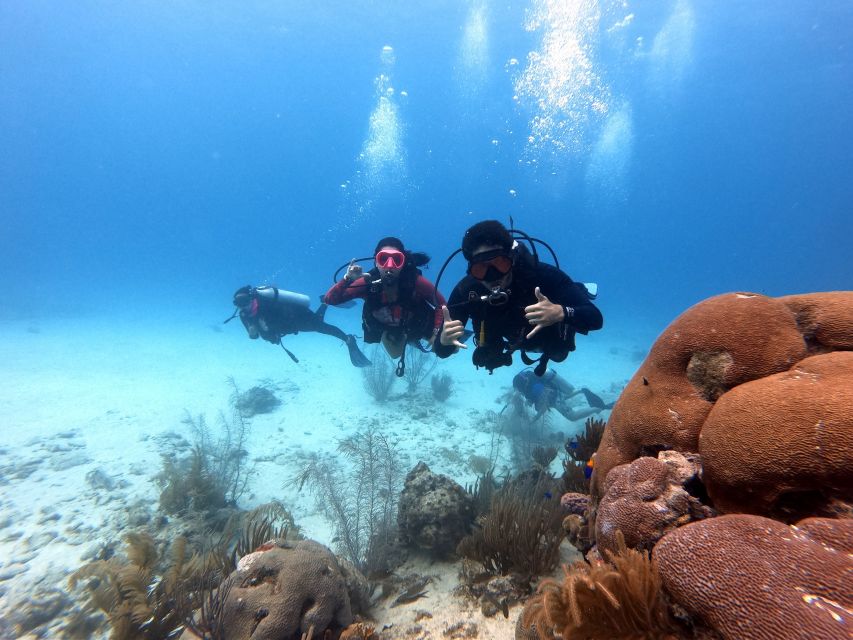 San Andres: Scuba Diving Experience with Hotel Pickup - Should you book this San Andrés scuba session?