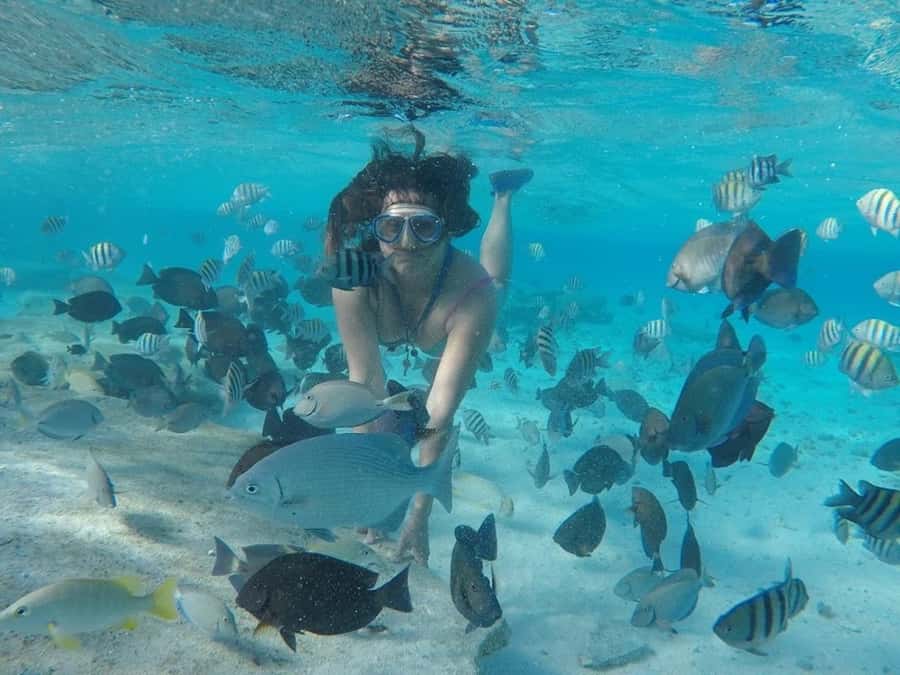 San Andres: Transfer by Boat + Natural Aquarium - The glass-bottom boat ride: seeing the aquarium before you even swim