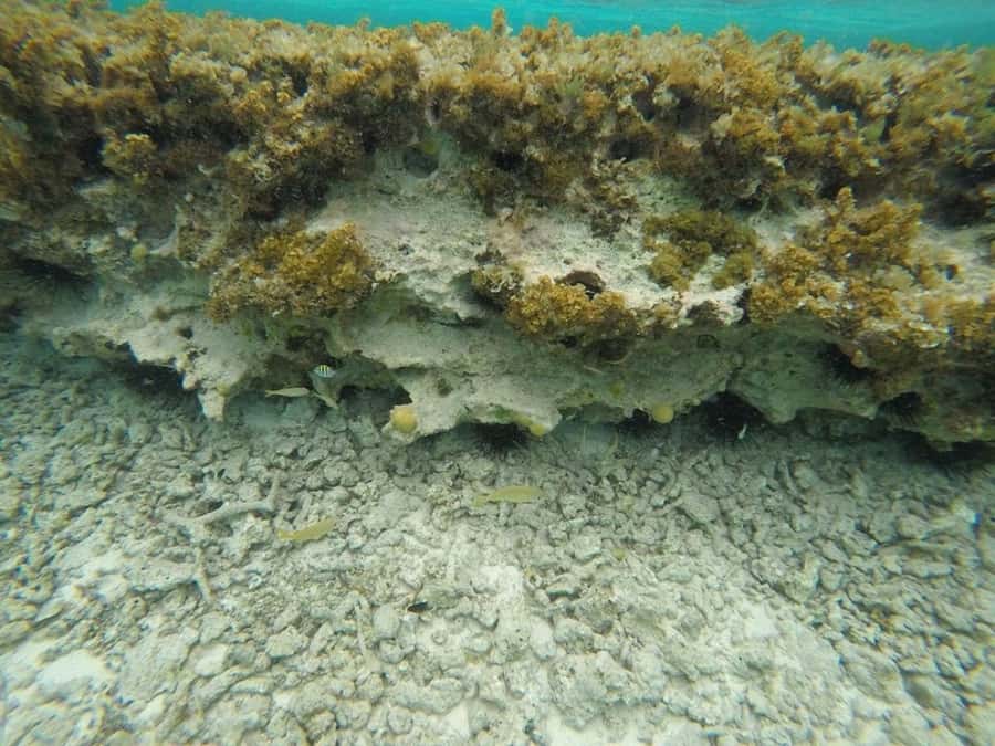 San Andres: Transfer by Boat + Natural Aquarium - What’s included versus what’s not (and why it changes your expectations)