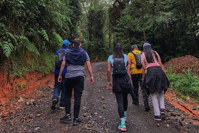 San Antonio Rain Forest Cali Private Tour - What to bring for a comfortable 7-hour day in the forest