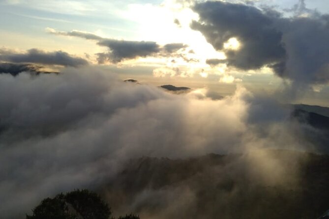 San Antonio Rain Forest Cali Private Tour - 8:00 am pickup and the calm logistics of a countryside day