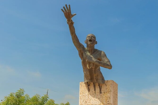 San Basilio de Palenque 6-Hour Private Tour - Price, Private Transport, and What You Get for $136