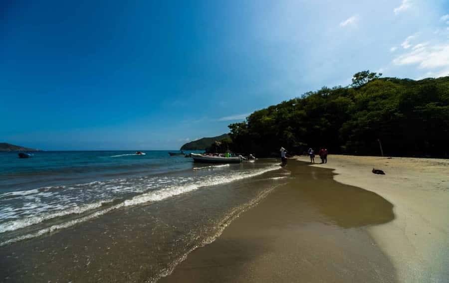 Santa Marta and Tayrona Park Day Trip - Key highlights to know before you go