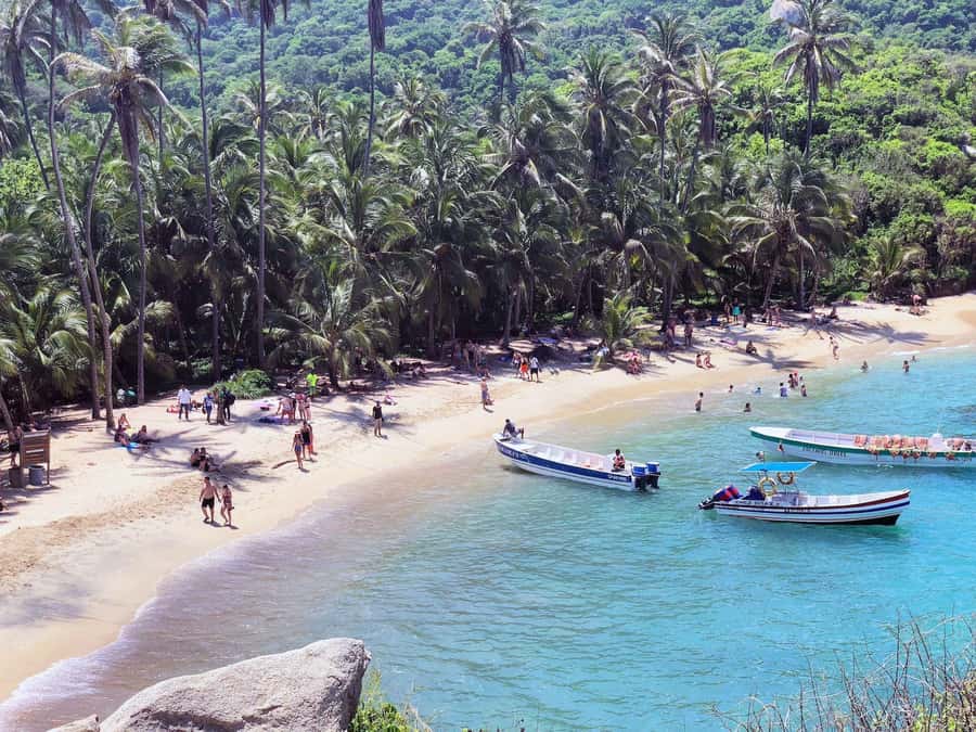 Santa Marta: Cape San Juan del Guía Tour in Tayrona Park - Who should book this Cabo San Juan del Guía day trip