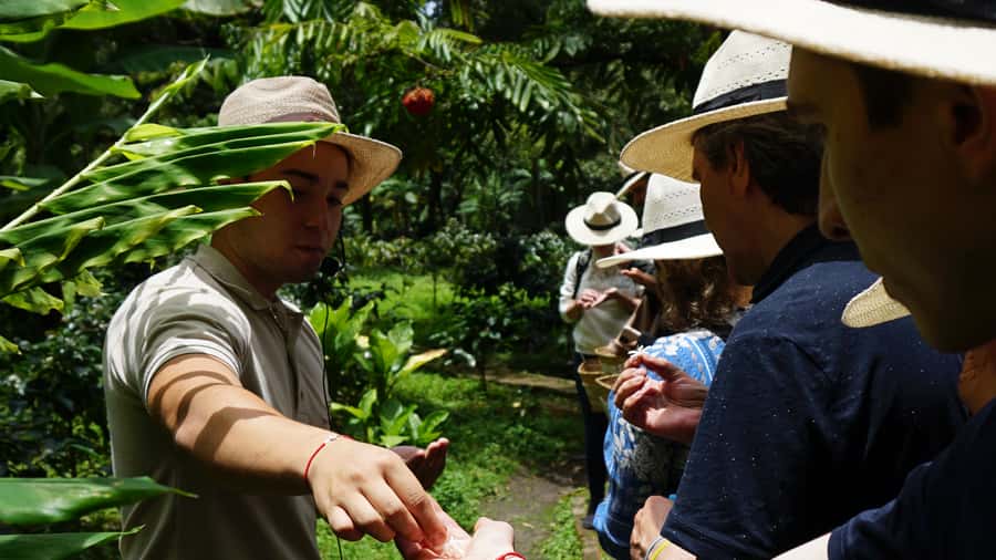Santa Marta: Minca Coffee, Cocoa, & Waterfall Full-Day Trip - Key moments worth planning for