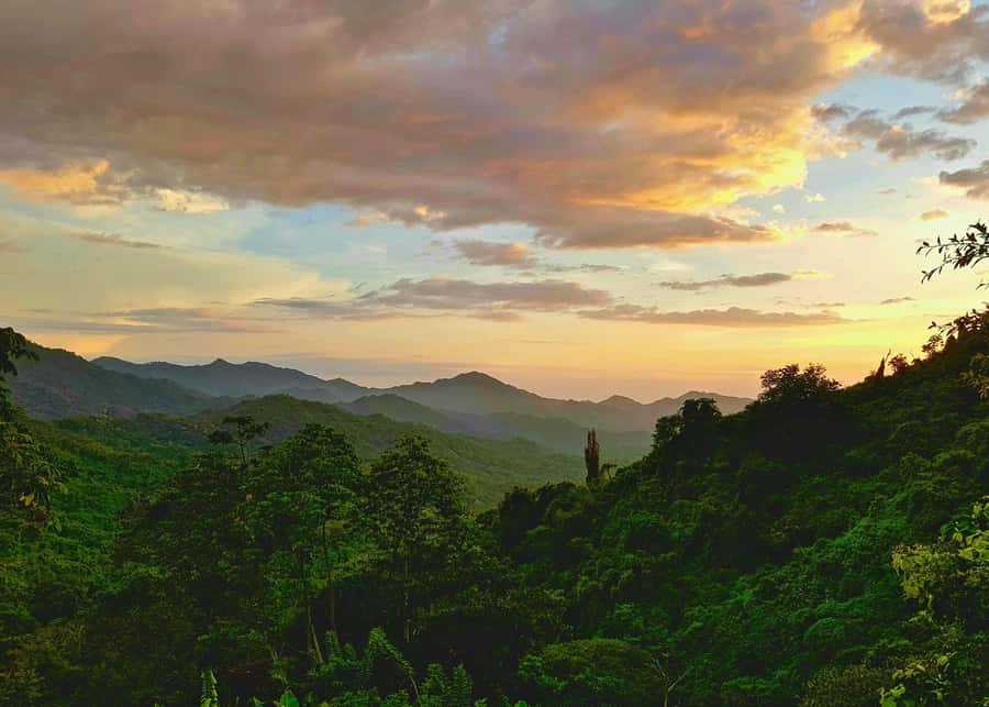 Santa Marta: Minca Coffee, Cocoa, & Waterfall Full-Day Trip - Minca River pools: swimming time, bug time