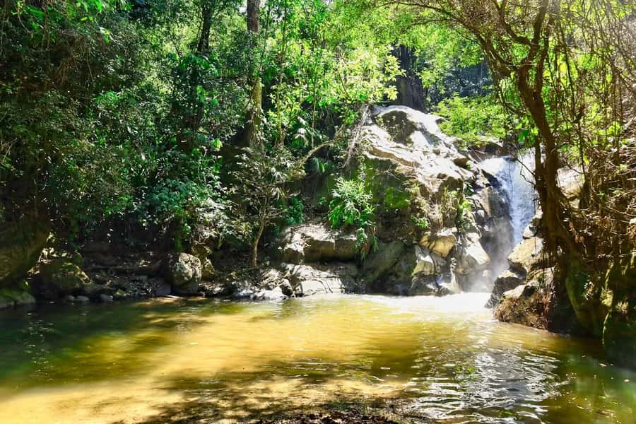 Santa Marta: Minca Coffee, Cocoa, & Waterfall Full-Day Trip - Lunch at a bamboo restaurant: food with a mountain view