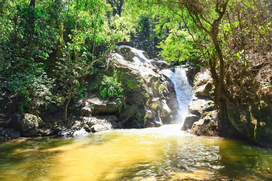 Santa Marta: Minca Coffee, Cocoa, & Waterfall Full-Day Trip - Who this tour suits best, and who should skip it