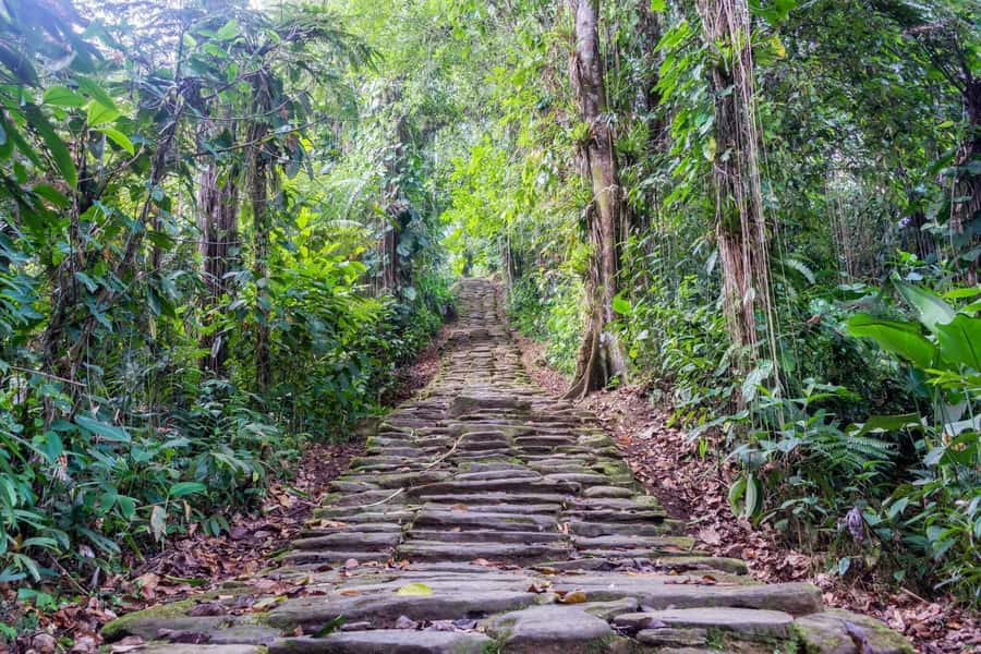 Santa Marta: Multi-Day Trek to The Lost City - Day-by-day: how the 4, 5, and 6-day options actually feel