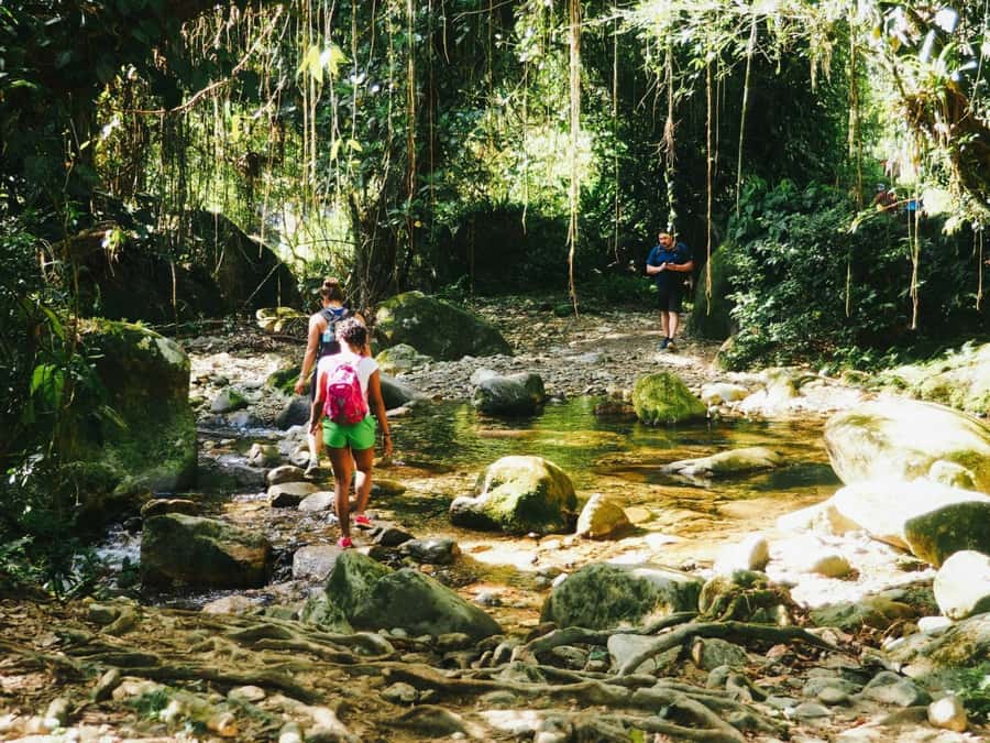 Santa Marta: Multi-Day Trek to The Lost City - Camps, food, and the reality of sleeping in the jungle