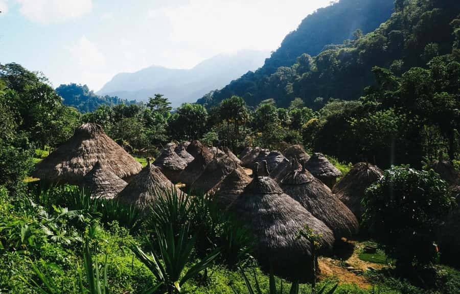 Santa Marta: Multi-Day Trek to The Lost City - Fit level, weather, and the gear checklist that actually helps