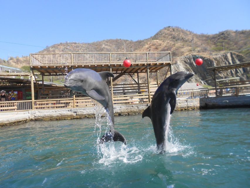 Santa Marta: Museum of the Sea and Playa Blanca Beach Tour - What’s Included, What’s Not, and the Details That Matter