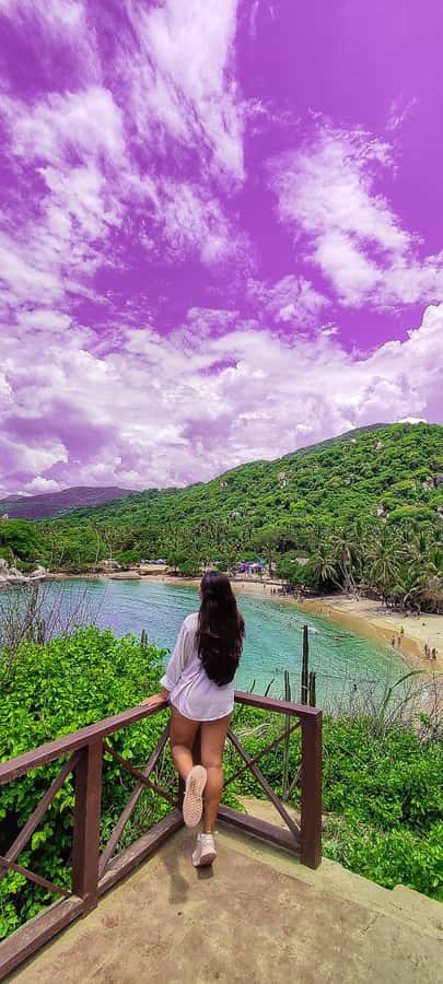 Santa Marta: Playa Cristal in Tayrona Parque Day Tour - Tayrona’s viewpoint stop near Playa 7 Olas: camera time and quick orientation