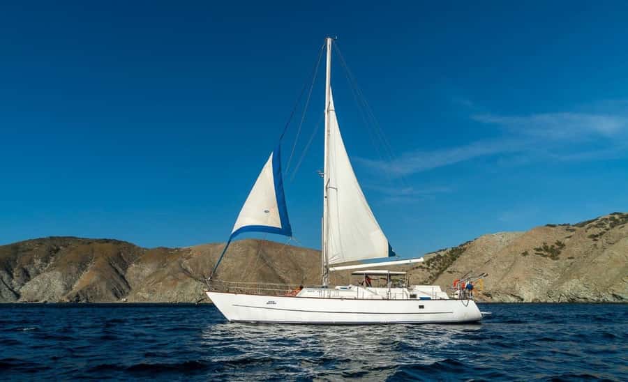 Santa Marta: Sailing Tour to Tayrona Park with Luis' Team - Bahía Concha Inside Tayrona: Anchor Close, Then Choose Your Own Day