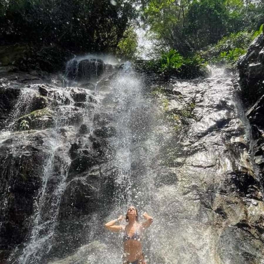 Santa Marta: Trekking in Minca Complete Waterfall Circuit - How the Minca waterfall circuit feels from start to swim
