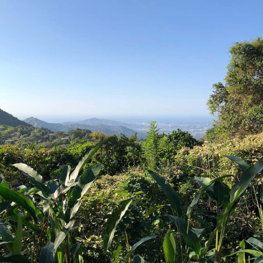 Santa Marta: Trekking in Minca Complete Waterfall Circuit - Marinka Waterfalls: longer time, more water, more chances to cool off