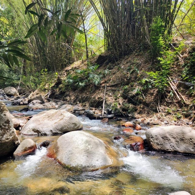 Santa Marta: Trekking in Minca Complete Waterfall Circuit - Stories of coffee, cacao, and sacred plants that change how you see the hike