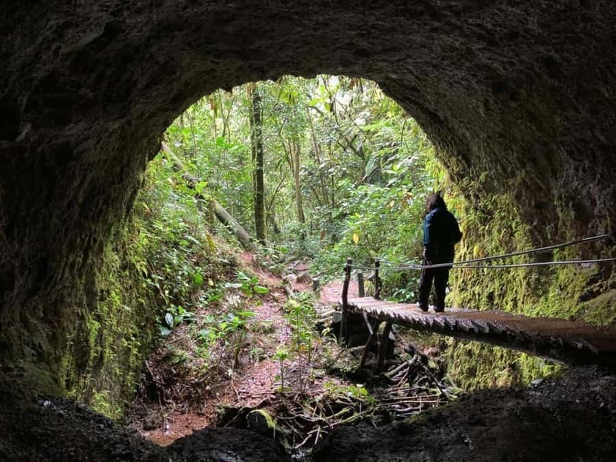 Santa Rita Waterfall and Salento Private Tour - Key Points at a Glance