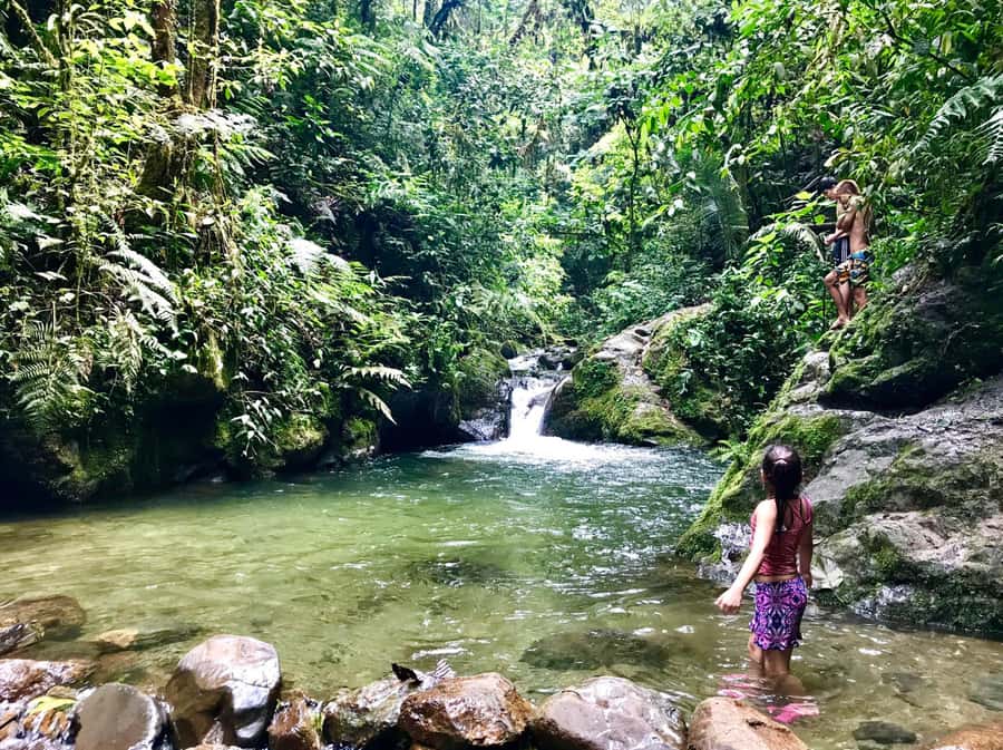 Santa Rita Waterfall and Salento Private Tour - The Coffee Triangle Lesson That Changes How You See the Hike