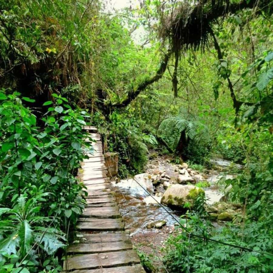 Santa Rita Waterfall and Salento Private Tour - Getting Picked Up in Armenia, Pereira, Salento, or Filandia