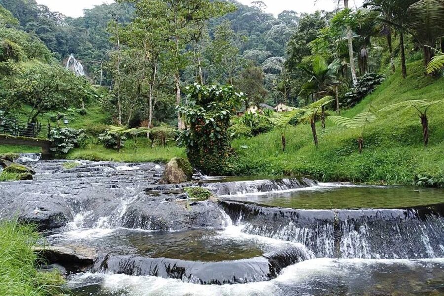 Santa Rosa de Cabal Thermal Hot Springs - Price and value: is $94 per person worth it?