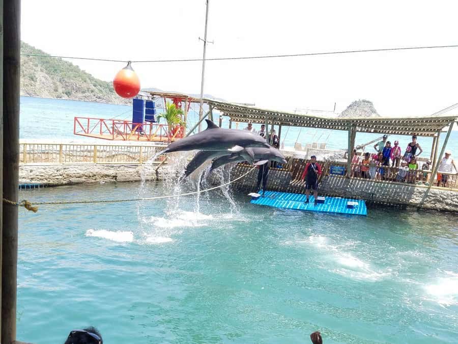 SANTAMARTA: TOUR Combo boat taxi, aquarium, lunch, and white sand beach - Key highlights you will feel right away