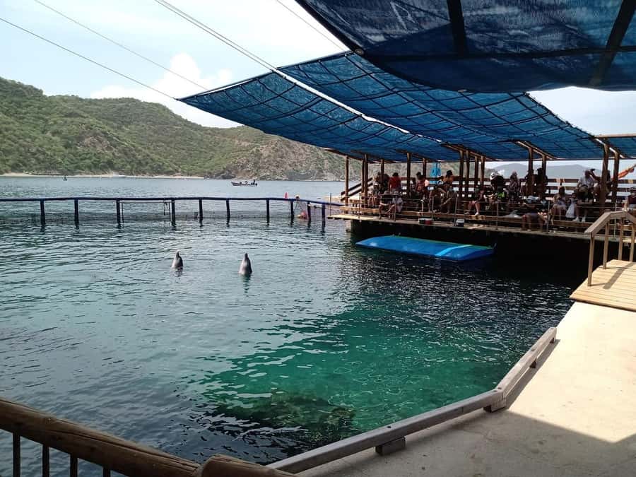 SANTAMARTA: TOUR Combo boat taxi, aquarium, lunch, and white sand beach - Playa Blanca free time: your real 4-hour beach block