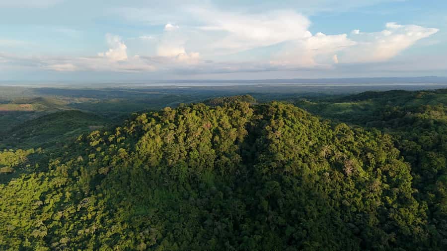 Scenic Horseback Ride in Tropical Mountain Reserve - Key things you will remember