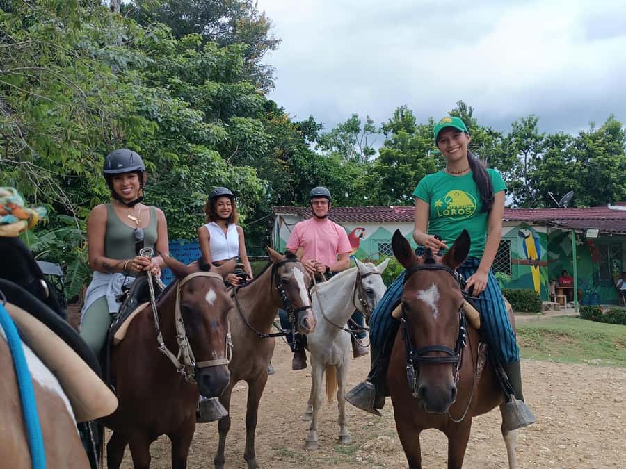 Scenic Horseback Ride in Tropical Mountain Reserve - Bird rehab briefing, and why it is more than a lecture