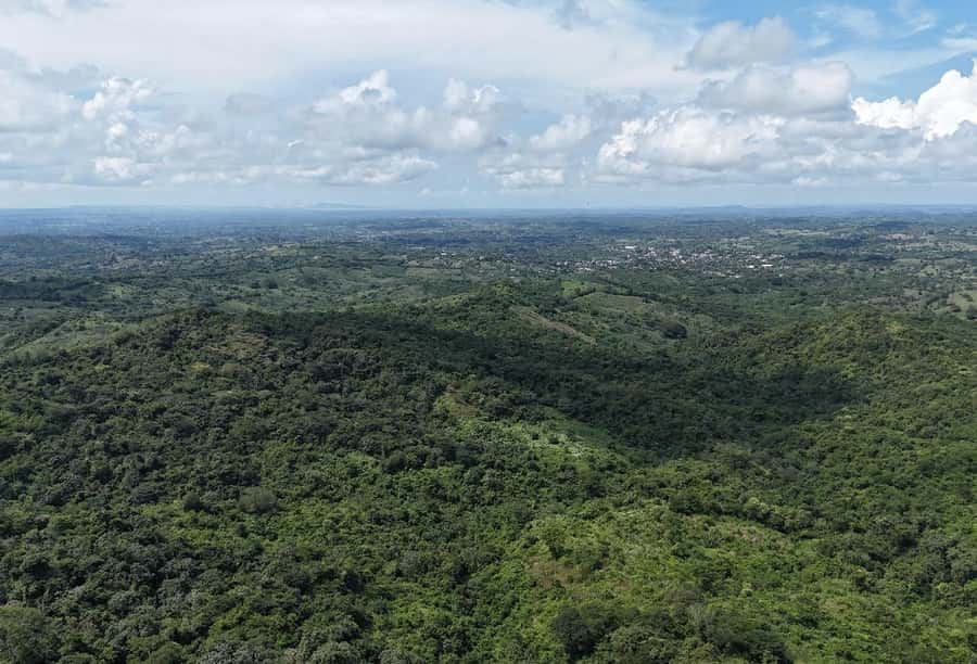 Scenic Horseback Ride in Tropical Mountain Reserve - The 15-kilometer horseback ride through a dry-forest reserve