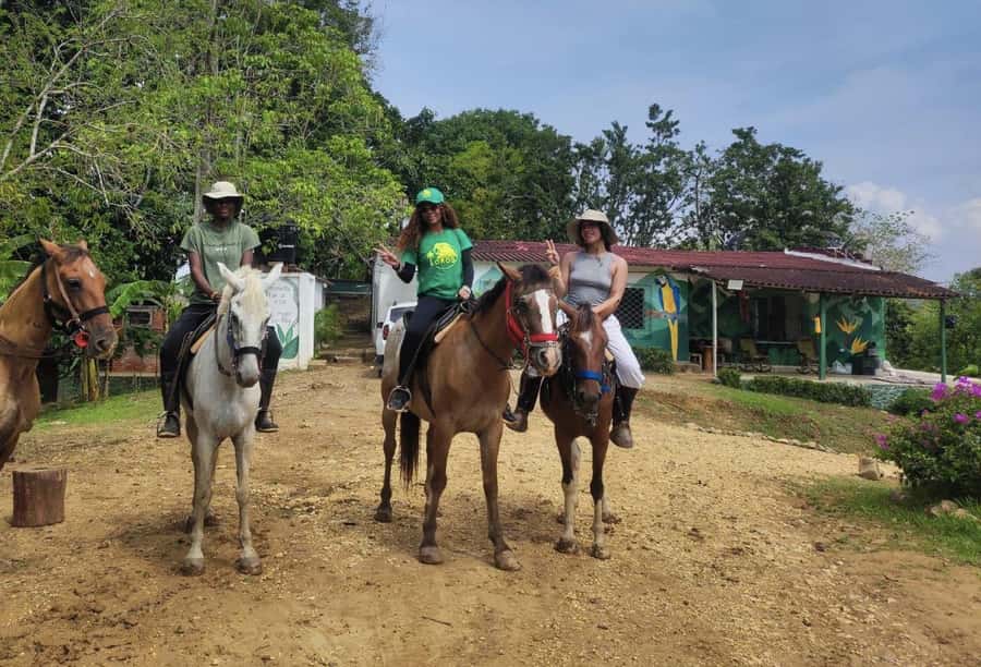 Scenic Horseback Ride in Tropical Mountain Reserve - UTV mountain views: good fun without losing the nature focus