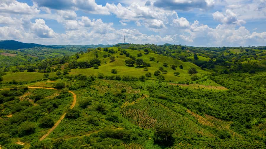 Scenic Horseback Ride in Tropical Mountain Reserve - Meet local farmers and taste freshly harvested fruit
