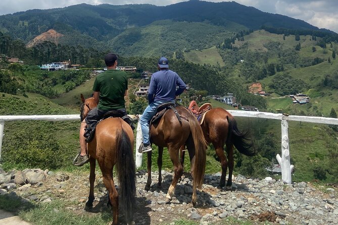 Scenic Horseback Riding in the Medellín Mountains - Food and drinks on the ride: carrot cake, orange juice, and choices
