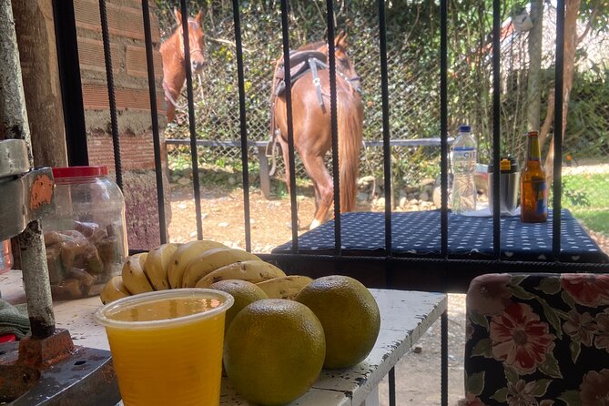 Scenic Horseback Riding in the Medellín Mountains - What to wear: long pants, sneakers, and sunscreen