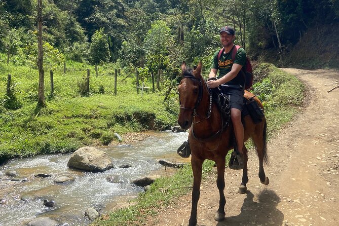 Scenic Horseback Riding in the Medellín Mountains - Who should book this horseback ride, and who should pass