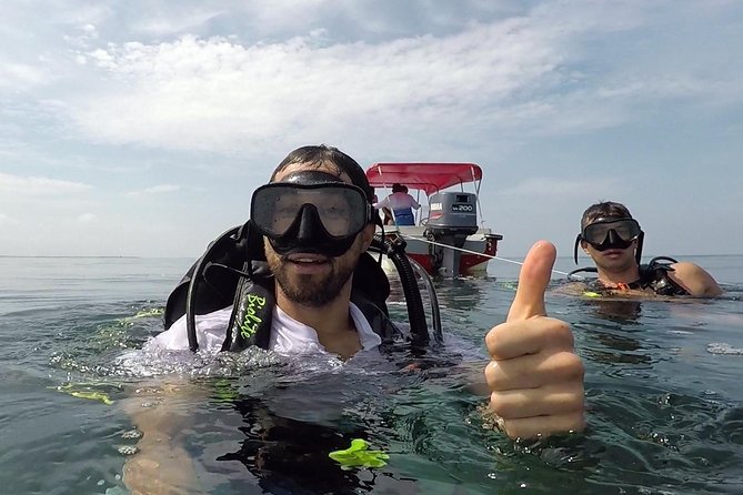 Scuba diving in Rosario Islands - Key reasons this Rosario Islands scuba day works