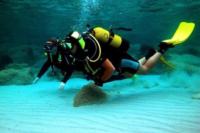 Scuba diving in Rosario Islands - Clear Water, Small Group: What You’re Signing Up For