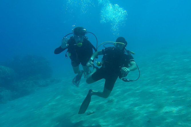 Scuba diving in Rosario Islands - Certified Instructors, Full Equipment, and Safety Checks That Matter