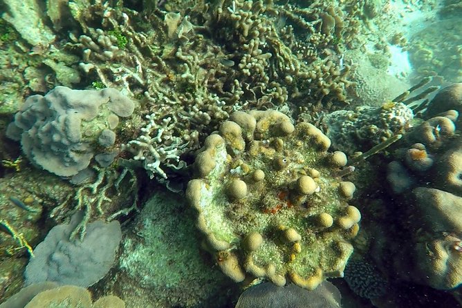 Scuba diving in Rosario Islands - Practical Tips for Your Cartagena Scuba Day