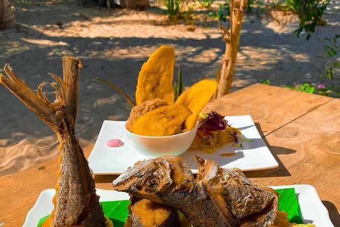 Semi-Private Tour of 7 Hours in Playa Blanca, Barú - Cartagena - Who this tour suits best (and who should reconsider)