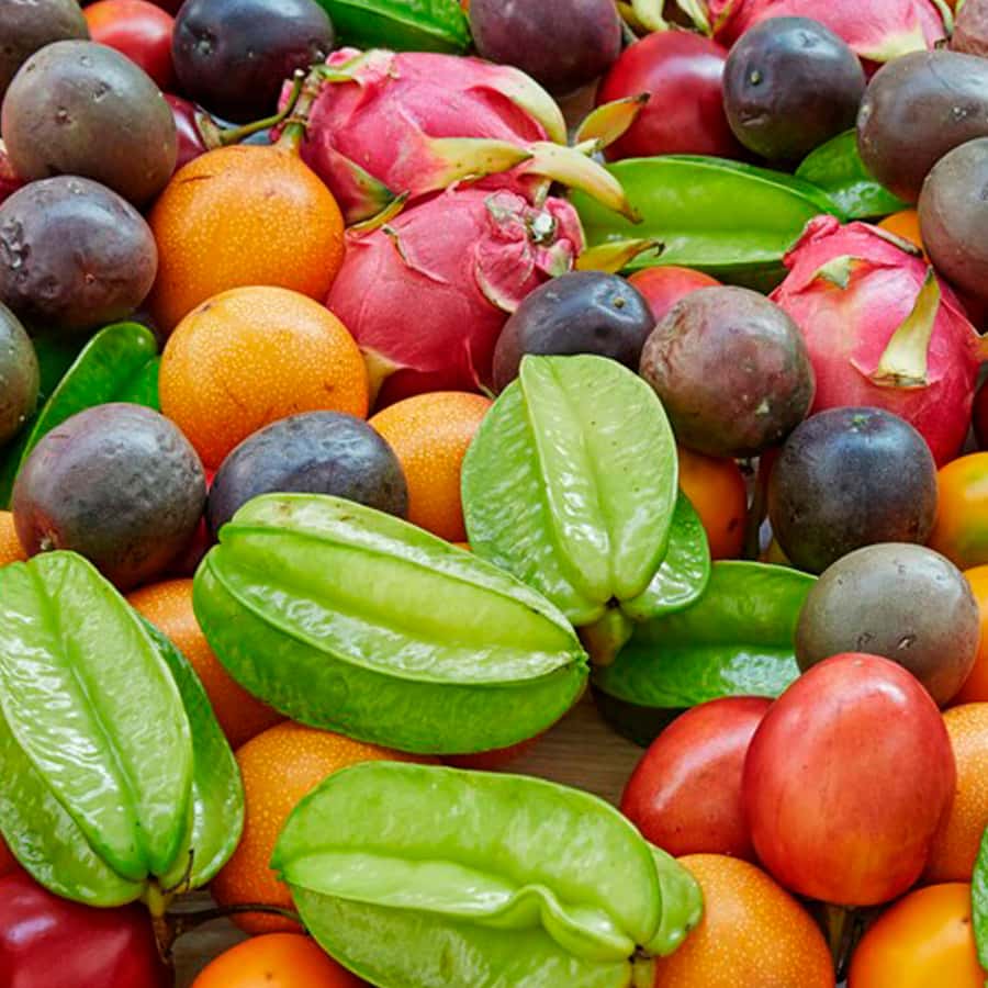 Shared Tour of Colombian Exotic Fruit at Paloquemao Market - Who This Tour Is Best For
